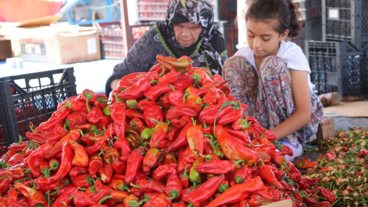 Şanlıurfa'nın tescilli lezzeti isotun geleneksel yolculuğu