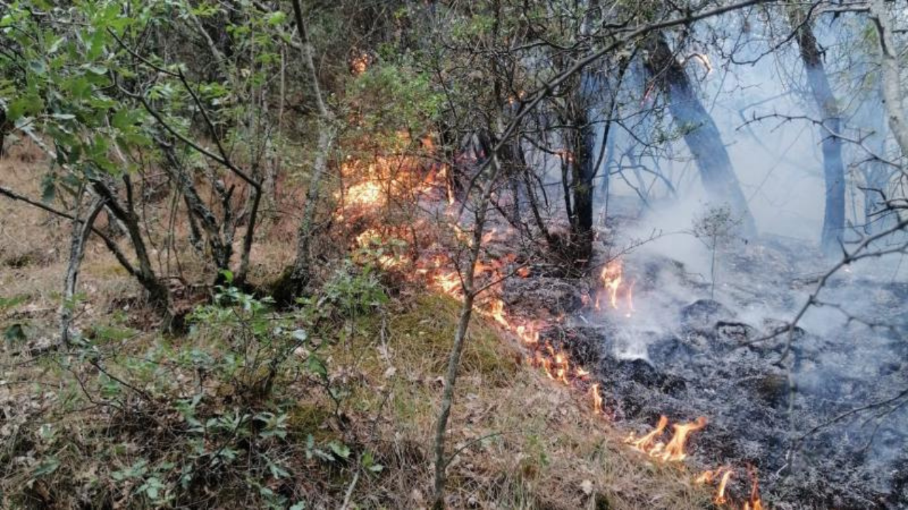 Ormanlık alanda çıkan yangına havadan ve karadan müdahale