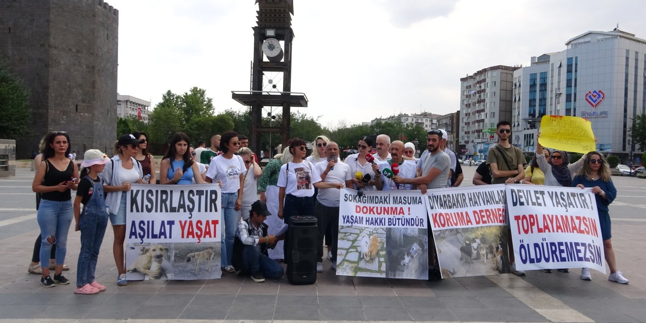 Diyarbakır’daki hayvan hakları savunucularından ‘ötenazi’ tepkisi