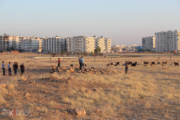 VİDEO HABER - Nusaybin'de patlama: Bir çoban ağır yaralandı