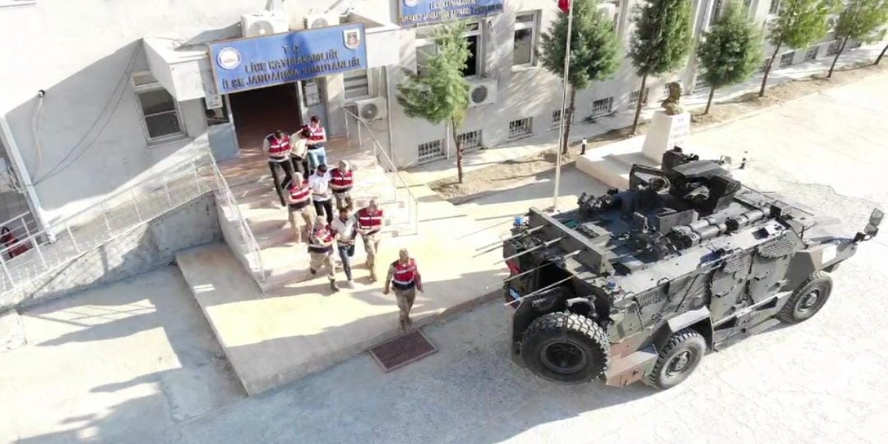Diyarbakır’da 10 bin kök kenevir bitkisi ele geçirildi; 3 tutuklama