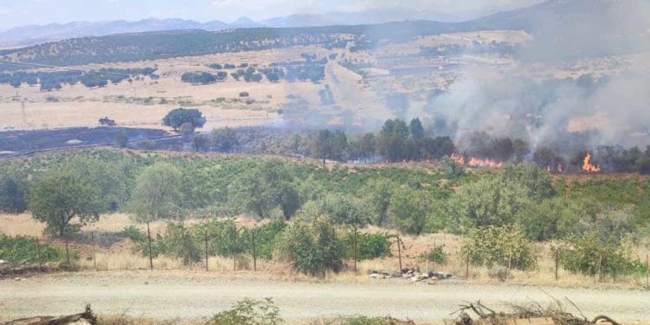 Diyarbakır'da üzüm bağları ve meyve ağaçları yangında zarar gördü