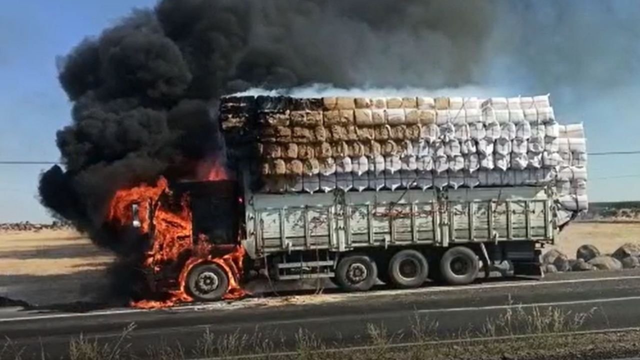 Diyarbakır'da TIR'daki yangın tarlaya sıçradı