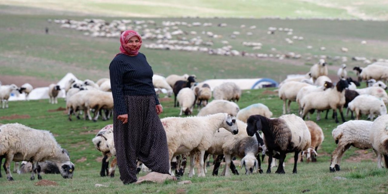 Erzurum'da 3 bin rakımda 3 yüz çadır kuruldu