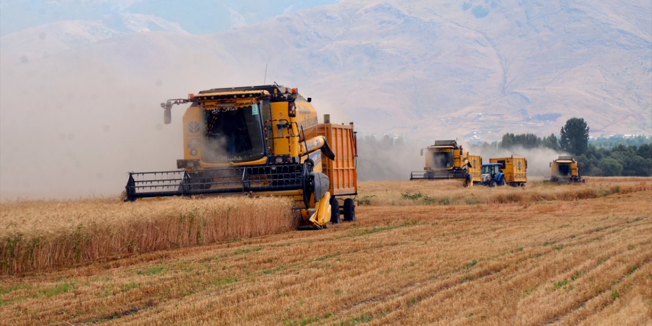 Diyarbakırlı biçerdöver operatörleri buğday tarlalarında mesaide