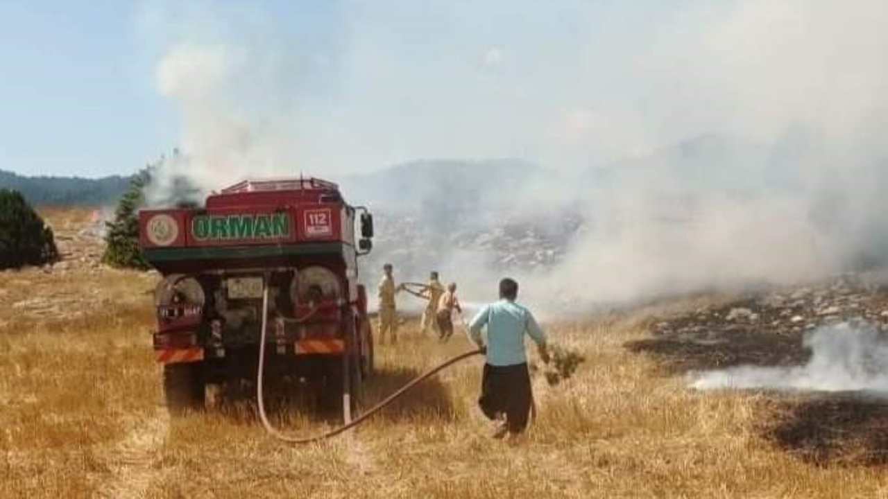 Anız yangını ormana sıçradı, müdahale sürüyor