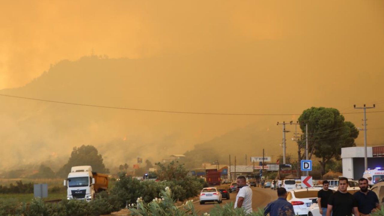 Muğla ve Aydın'da orman yangınlarına müdahale devam ediyor