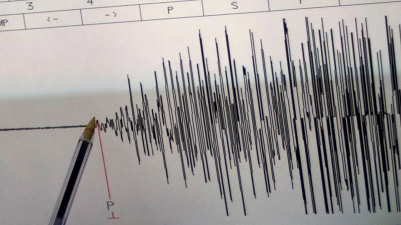 Japonya'da 7,1 büyüklüğünde deprem:  Tsunami uyarısı yapıldı