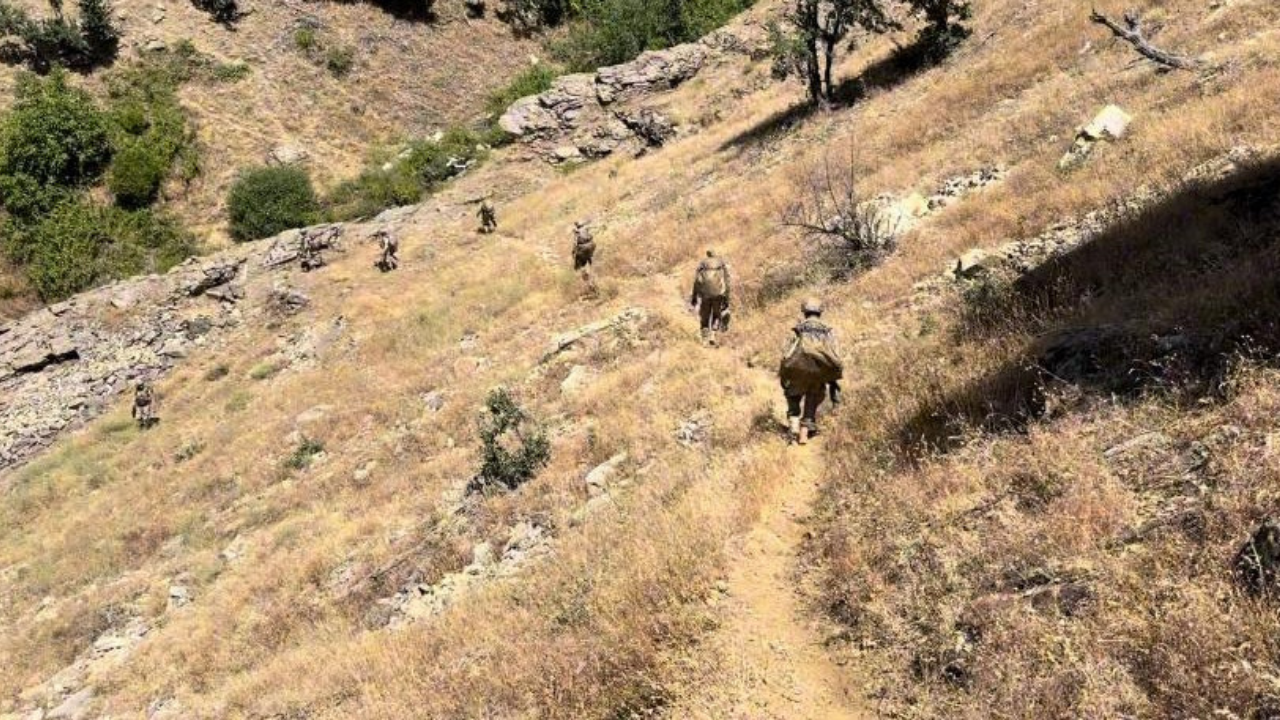 Diyarbakır’da 6 milyon kök kenevir ve skunk ele geçirildi!