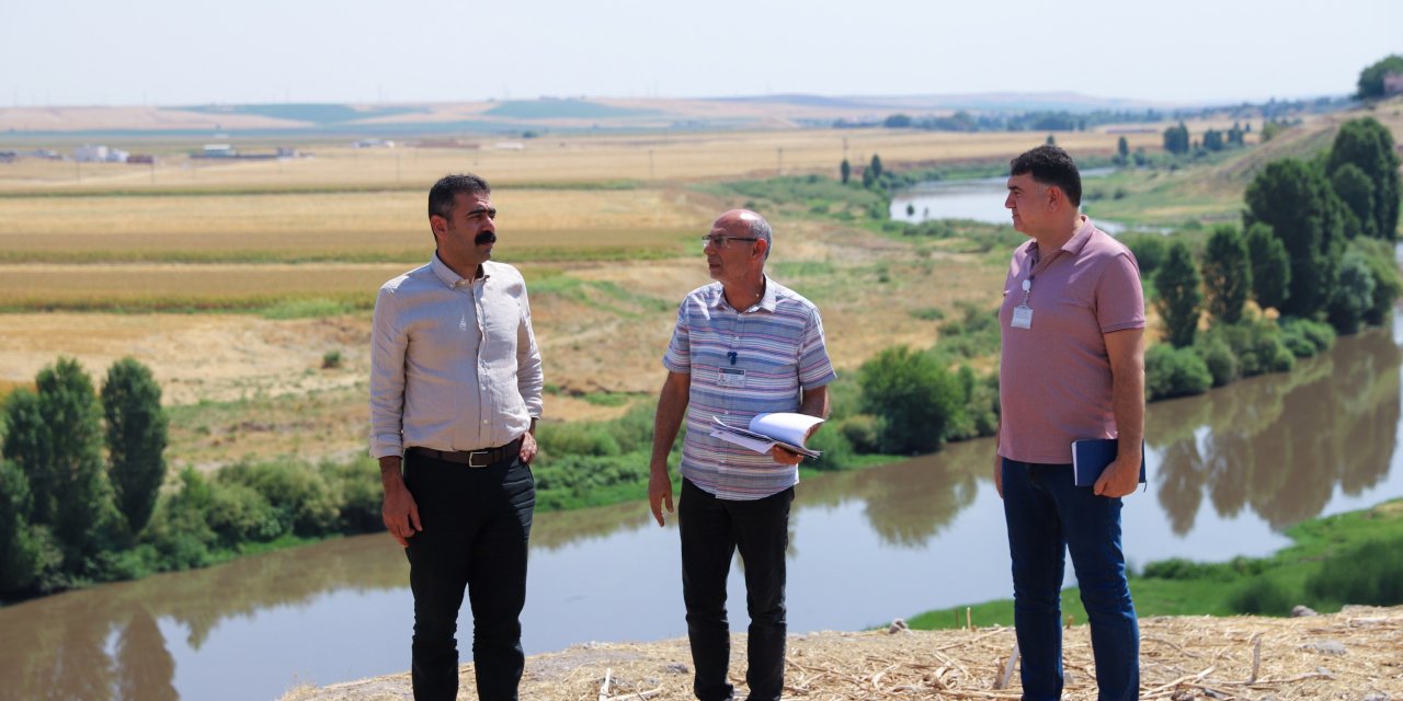 Diyarbakır’da topraksız üretim için sera kurulacak