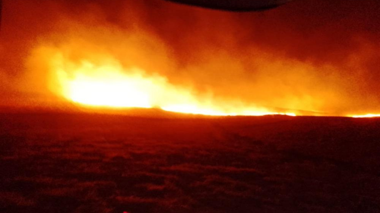 Diyarbakır'daki anız yangınında bin dönüm arazi kül oldu