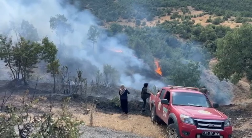 Bingöl’deki orman yangını ekiplerin erken müdahalesiyle kontrol altına alındı