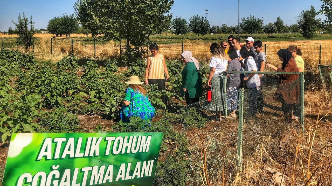 Diyarbakır’da öğrenciler toprakla buluştu