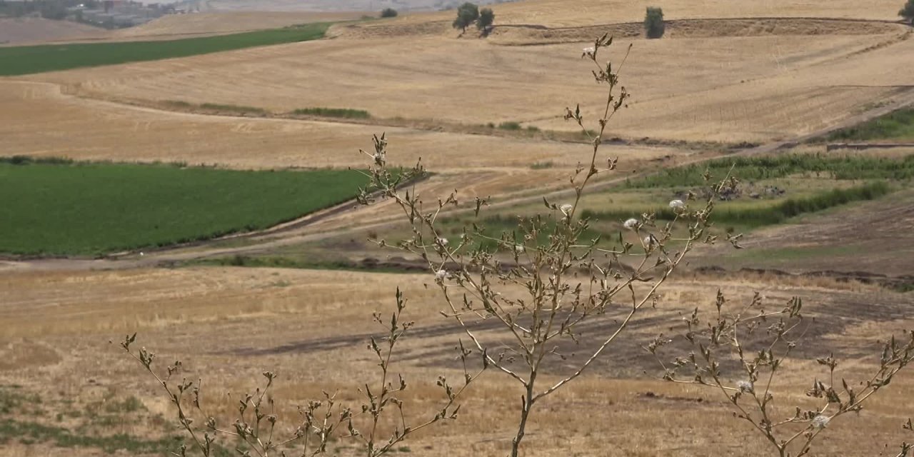 Diyarbakır’da kan davalarına yol açacak karara tepki