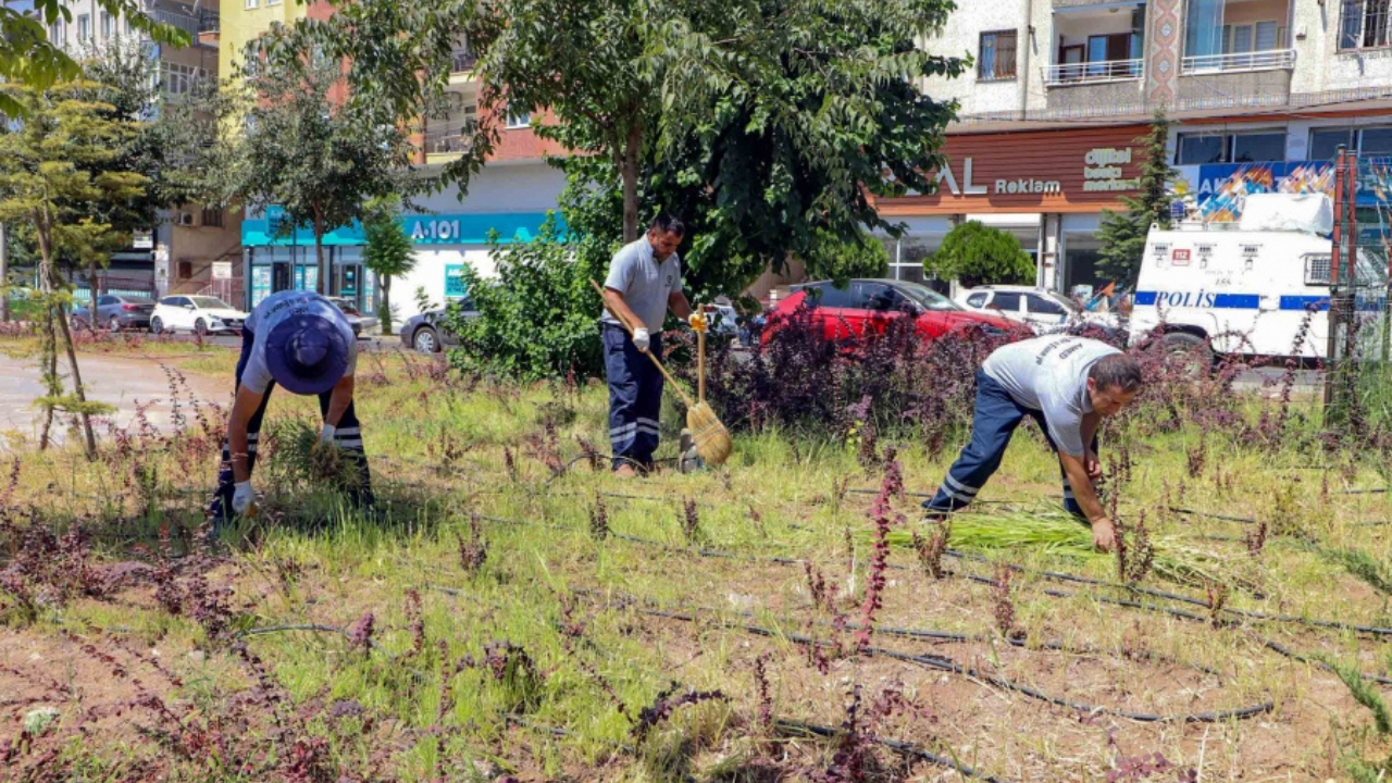 Diyarbakır’da Millet Bahçesi'nde temizlik ve bakım çalışması