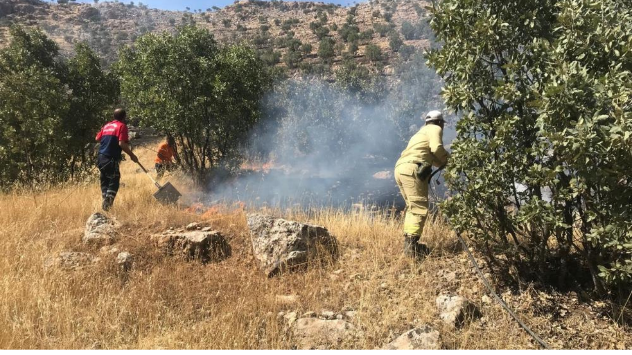 Mardin’de ormanlık alanda çıkan yangın kontrol altına alındı