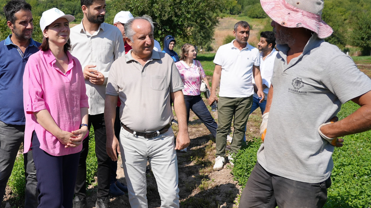 Diyarbakır Hevsel Bahçeleri ve Dicle Vadisi korunmalı