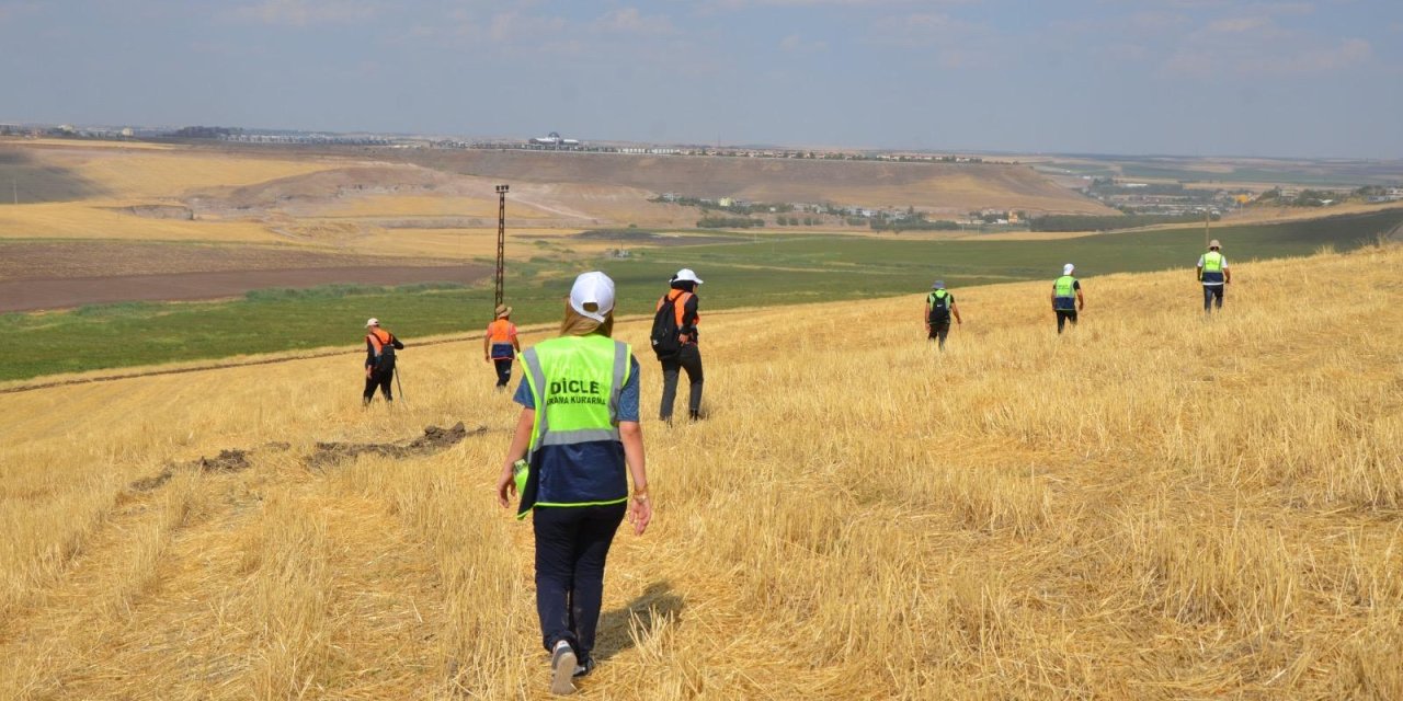 Dicle Elektrik’in gönüllü ekipleri, Narin'i arama çalışmalarına destek verdi