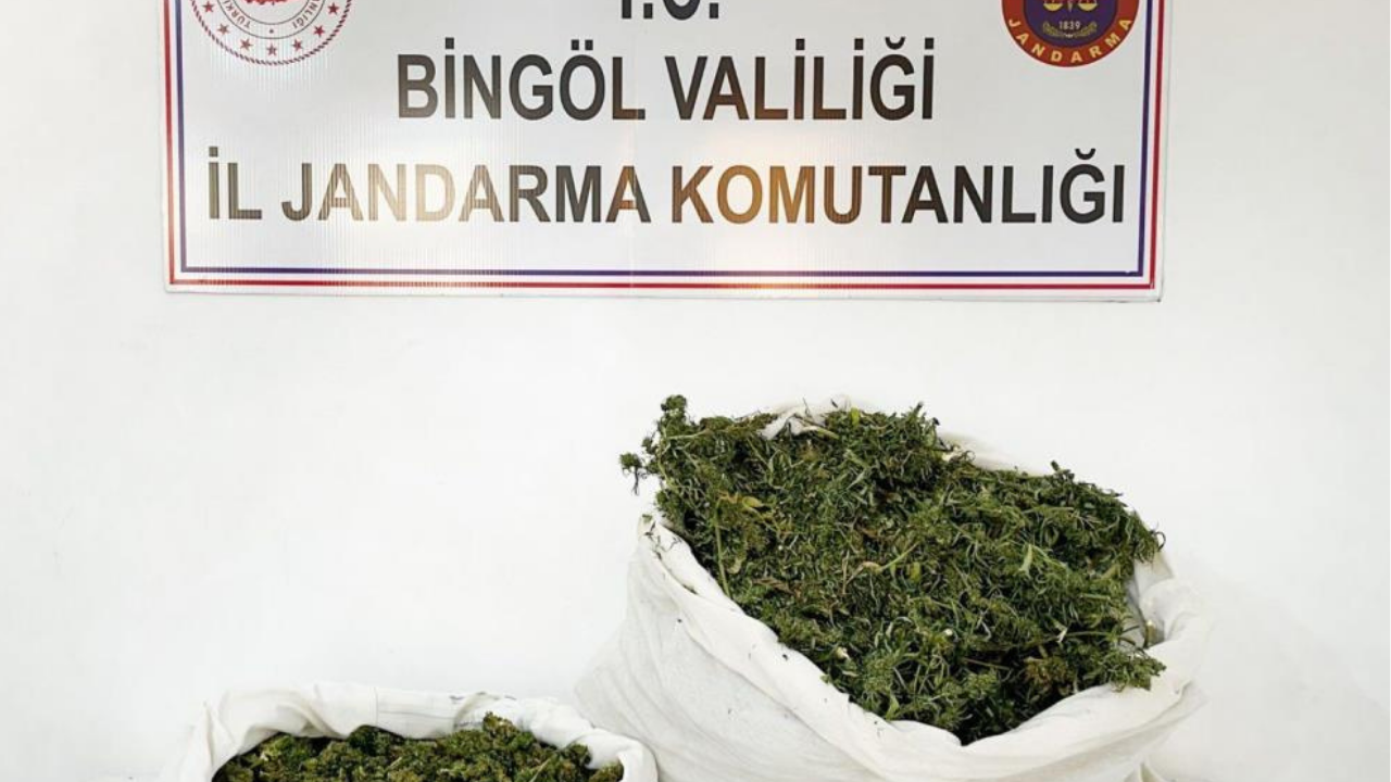 Bingöl’de 12 kilo esrar ele geçirildi