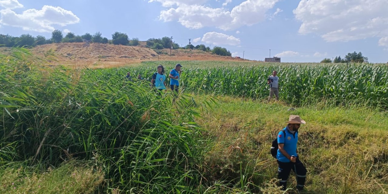 Diyarbakır’da kayıp Narin için mahallenin çevresi 8 kez arandı