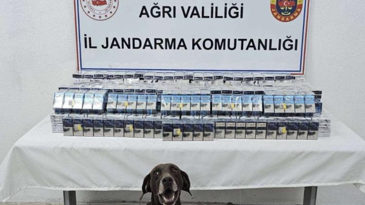 Ağrı'da kaçakçılık operasyonu: Binlerce paket kaçak sigara ele geçirildi!