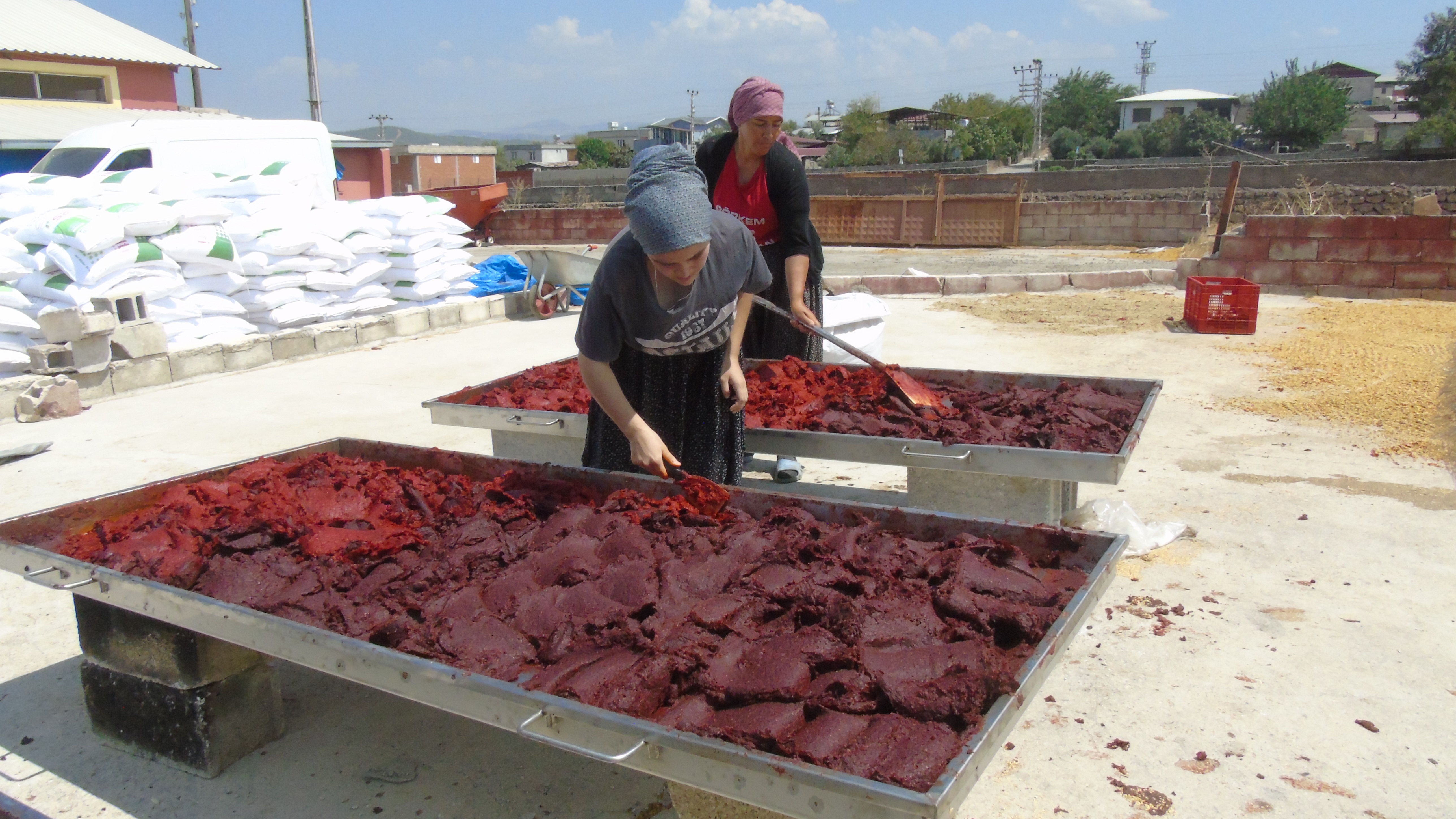 Tescilli İslahiye biberinin salça yolculuğu başladı