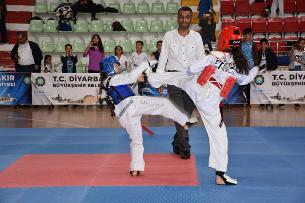Taekwondo Turnuvası sona erdi
