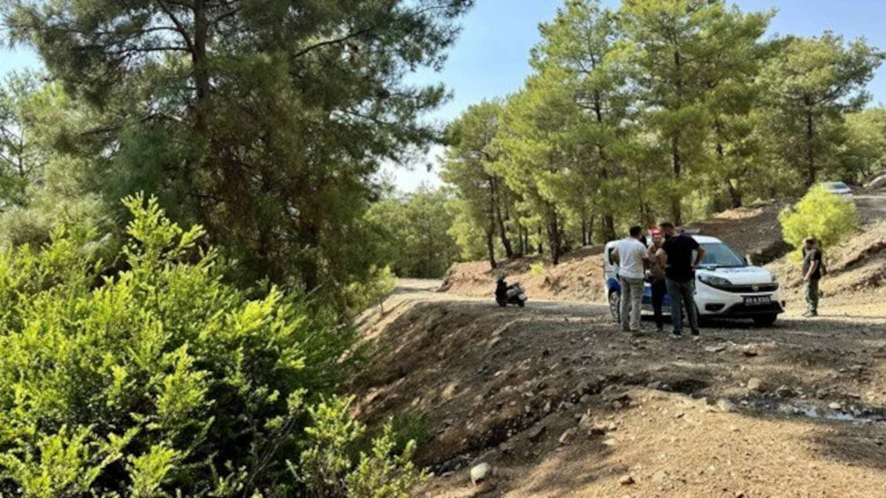 Ormanda terk edilmiş bebek bulundu