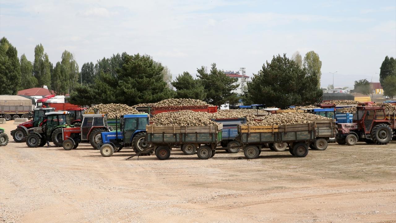 Muş'ta şeker pancarı alım kampanyası başladı