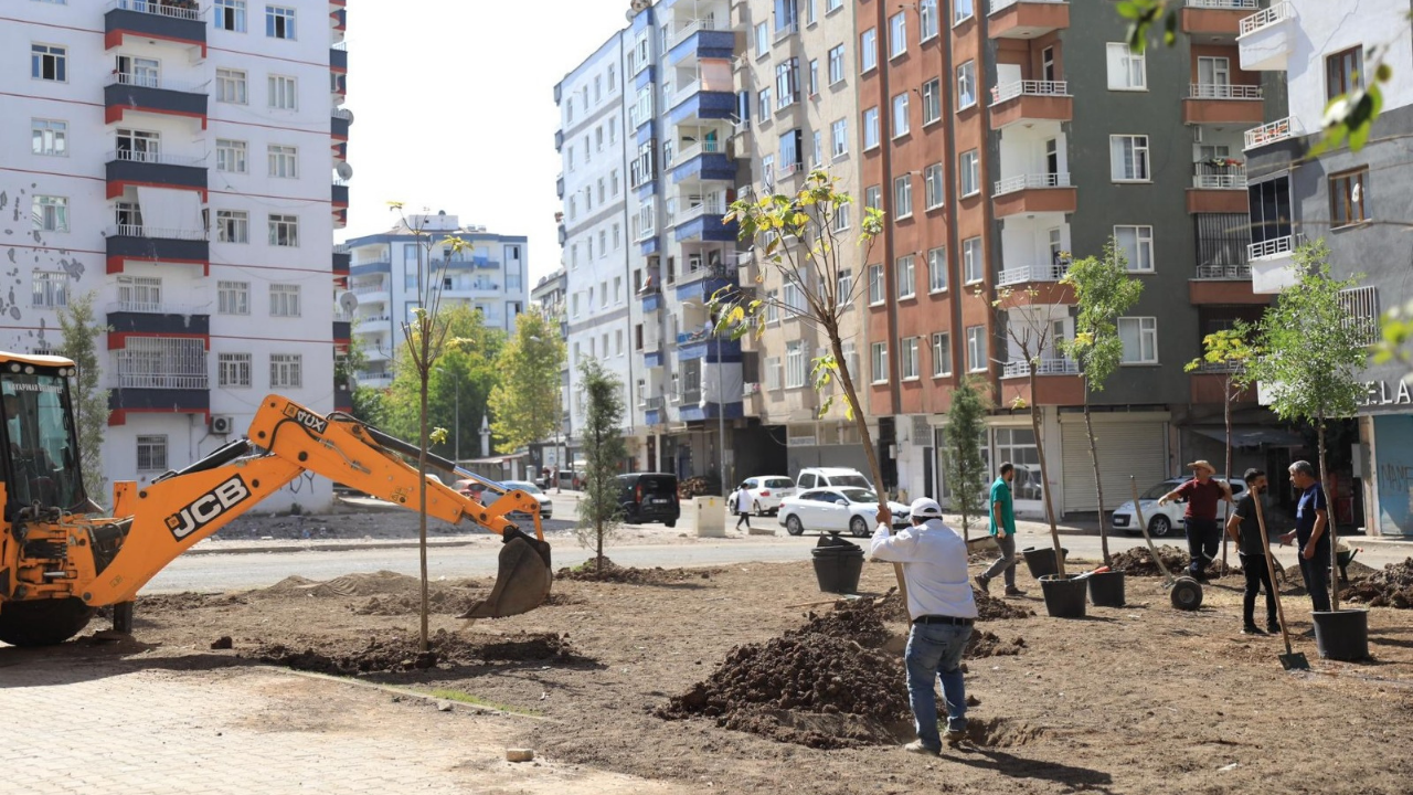 Huzurevleri Mahallesi’ne yeşil devrim