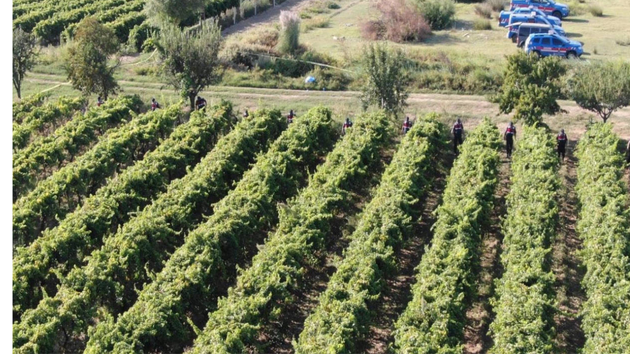 Manisa’da bağ evindeki cinayette yeni gelişme