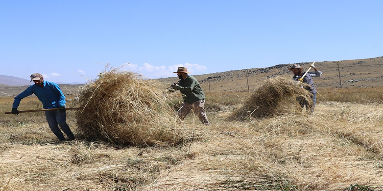 Çiftçiler hasat için mevsim koşullarıyla yarışıyor