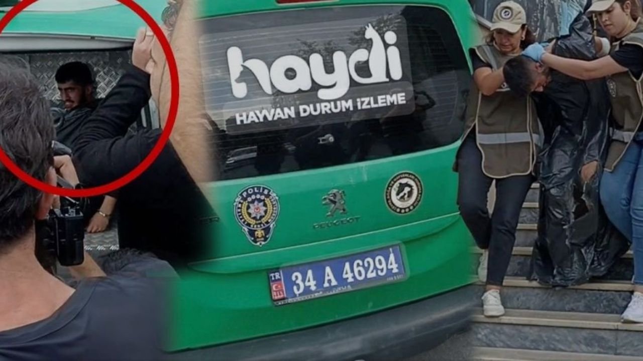 Polis katilinin hayvan taşıma aracına bindirilmesine Diyarbakır’dan tepki