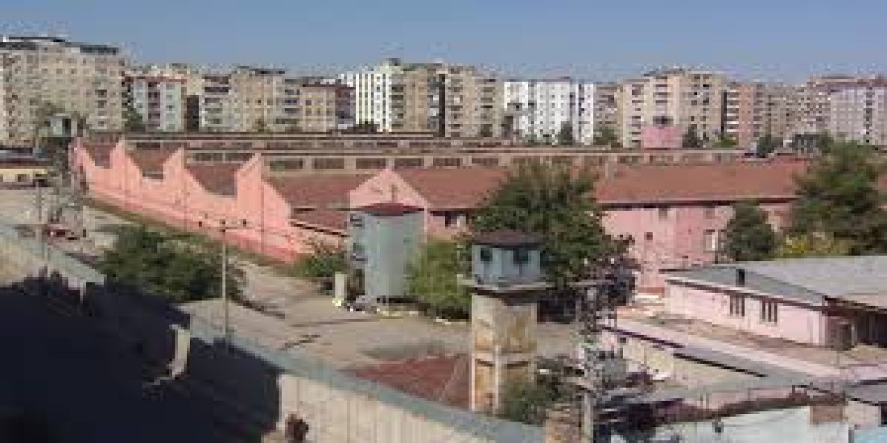 Cevat Korkmaz yazdı; Barışa Dair Bir Şeyler