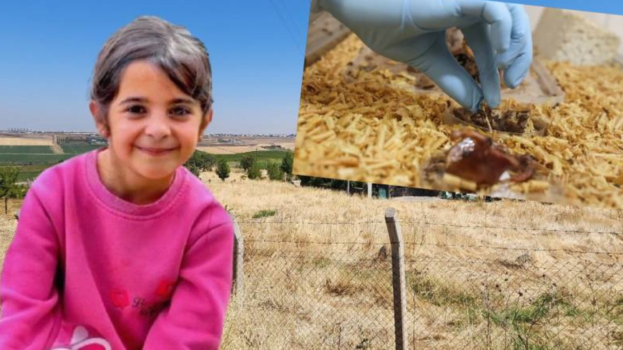 Narin Güran cinayetinde yeni delillere ulaşıldı