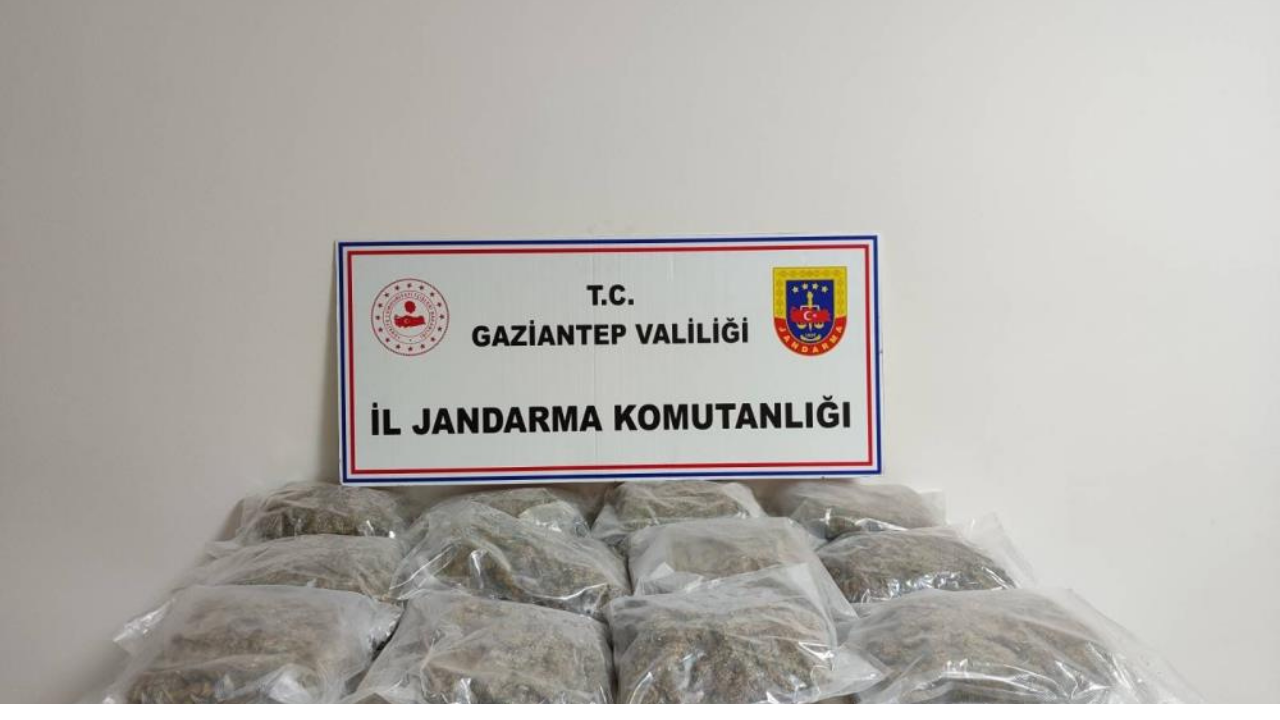 Gaziantep'te 32 kilogram skunk ele geçirildi