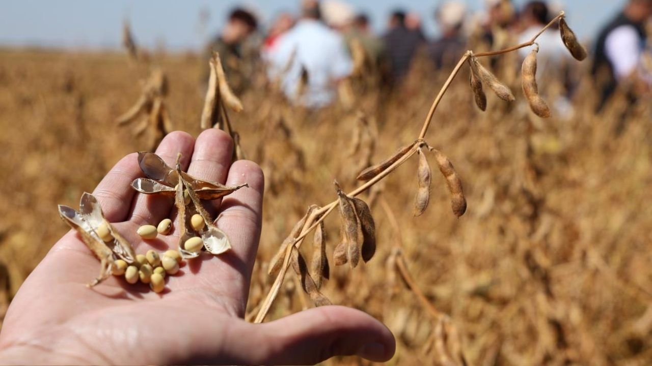 Diyarbakır’ın yeni zenginliği; 9 binden 33 bin dekara yükseldi