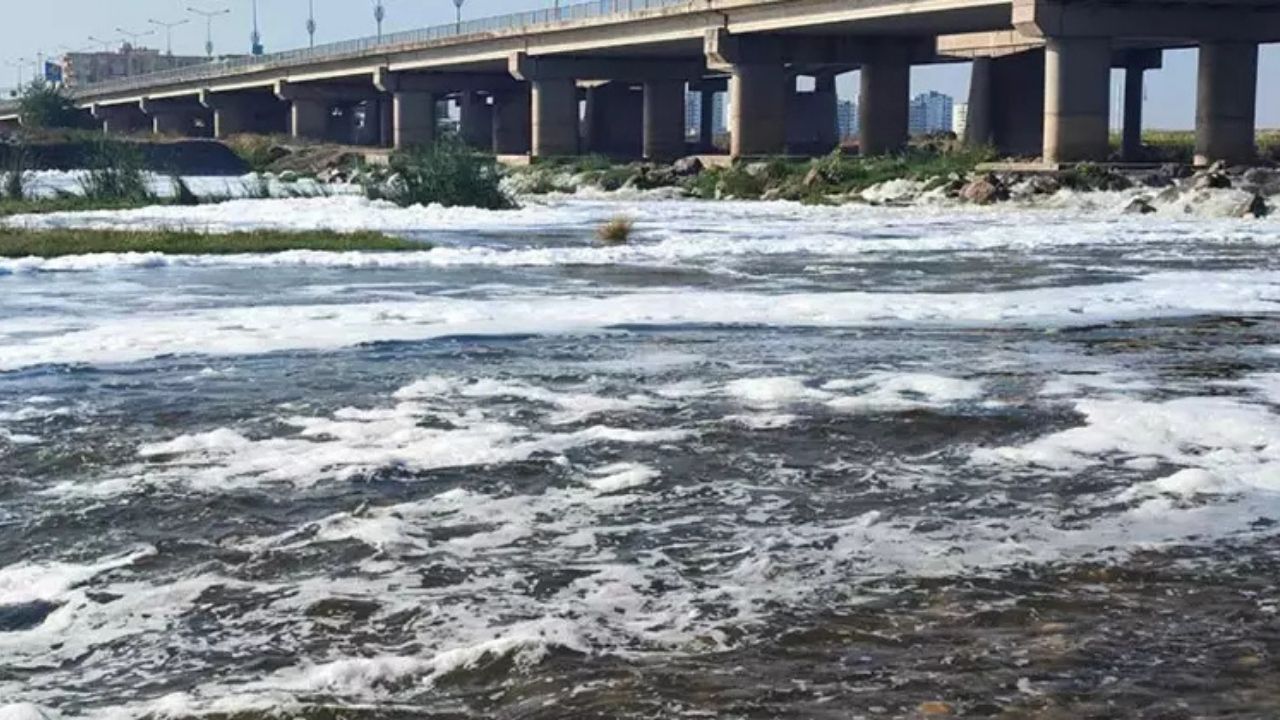 Diyarbakır Dicle Nehri'nde lağım görüntülerinin ardından yeni tehlike