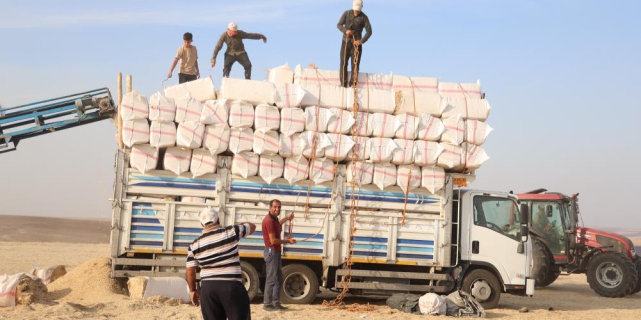 Diyarbakır’da 12 saat çalışıp, 3 bin liraya saman presliyorlar