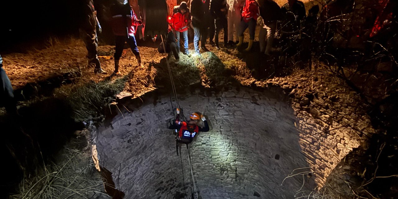 Diyarbakır’da kuyuya düşen yaban domuzu kurtarıldı