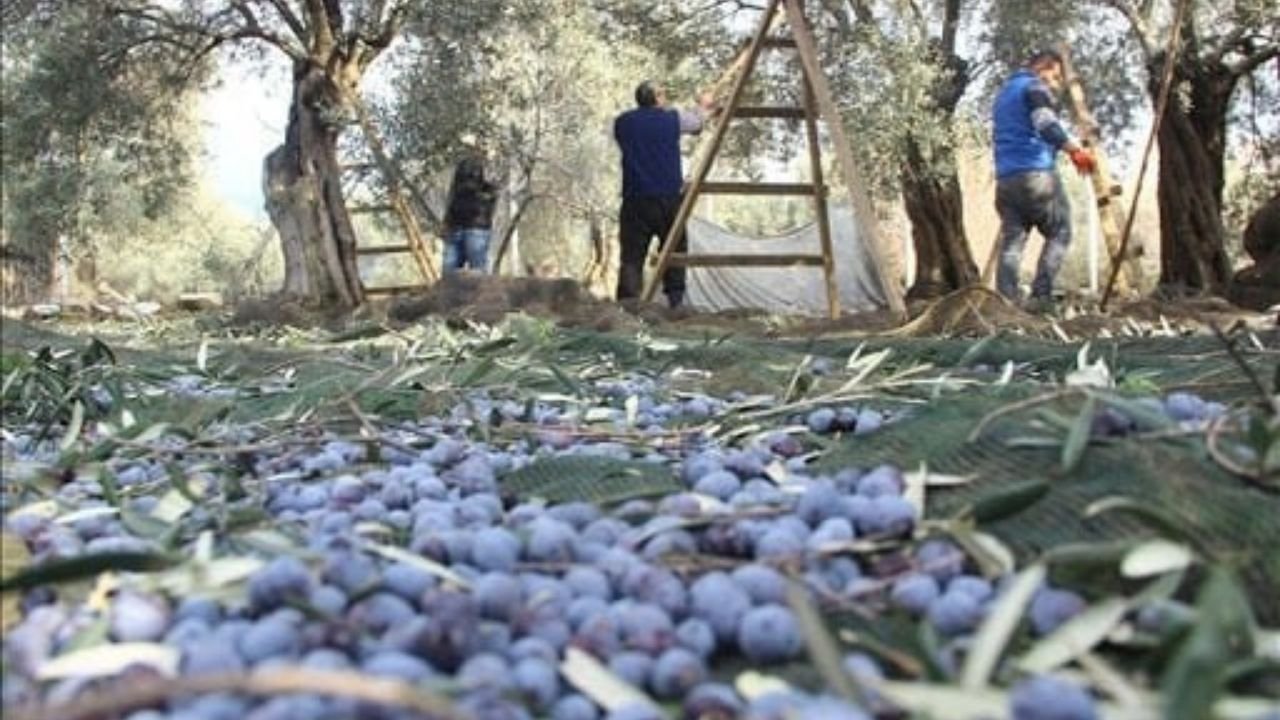 Günlük 3 bin liraya çalışacak işçi bulunamıyor