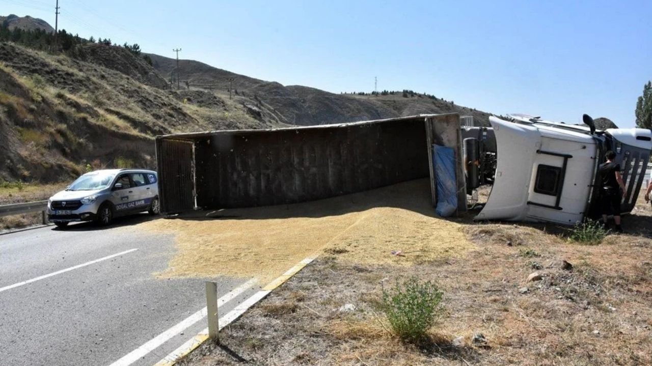 Diyarbakır’da tonlarca arpa yola saçıldı