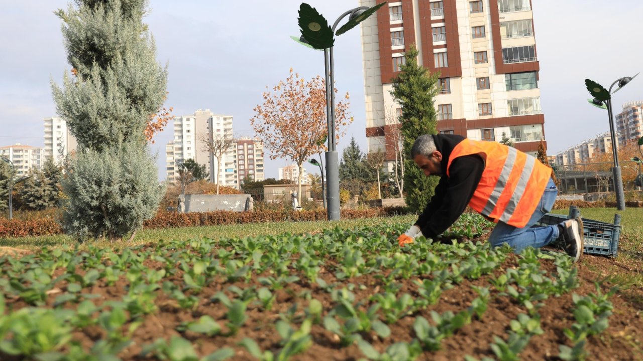 Diyarbakır Kayapınar’a yeşil dokunuş