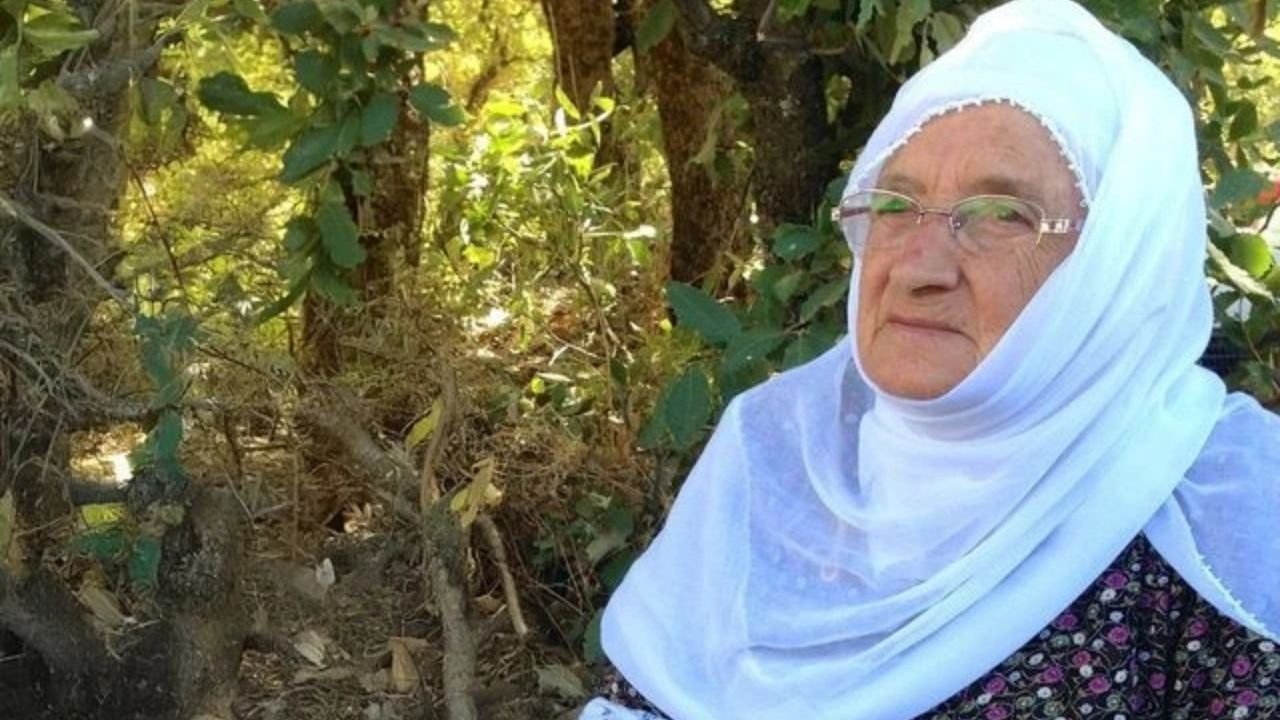 Barış annesi Sakine Arat hayatını kaybetti