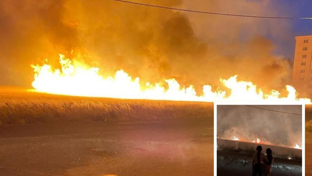Diyarbakır’da hasat öncesi yangınlar endişe yaratıyor