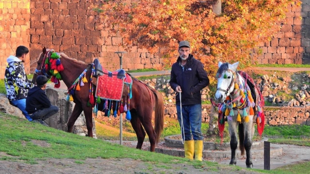 Diyarbakır Valiliği'nden atların kullanılmasına yasak