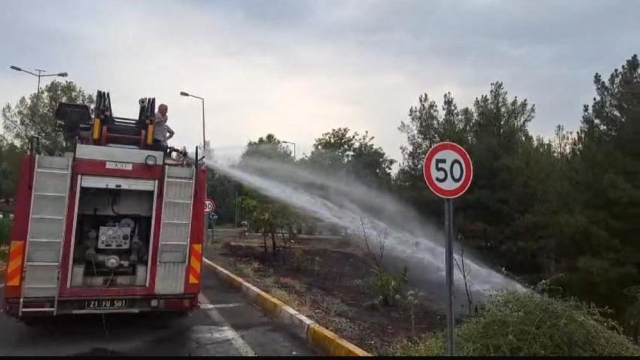 Diyarbakır’da örtü yangını Üniversitede paniğe neden oldu