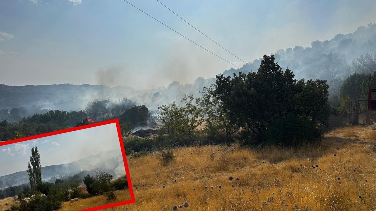 Diyarbakır Lice’ de söndürülen yangın saatler sonra tekrar başladı