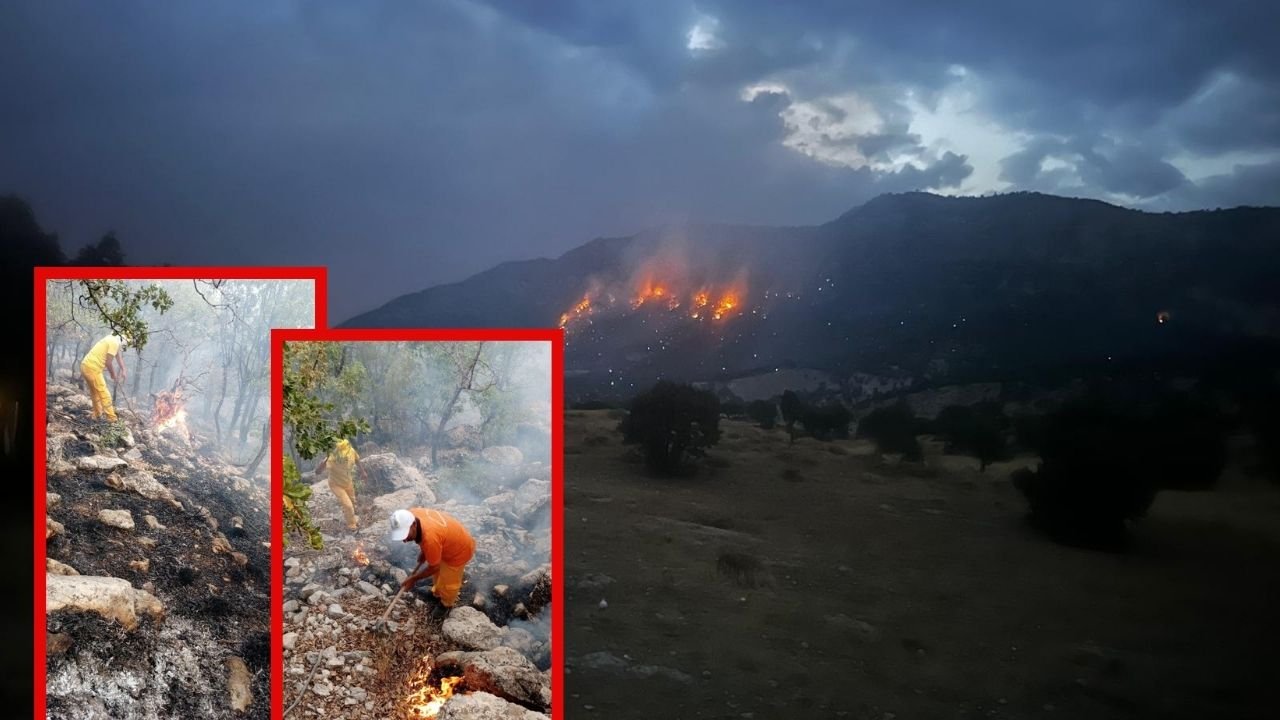 Diyarbakır Lice'deki yangın kontrol altına alındı