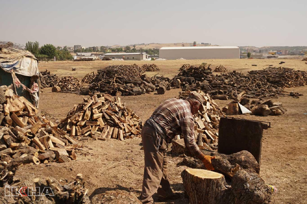 VİDEO HABER - Siirt'te odun ve kömüre rağbet var